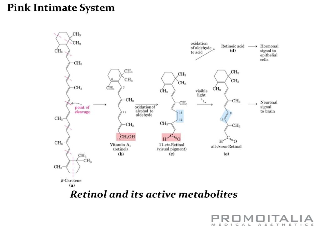 pink intimate system en tot page 25