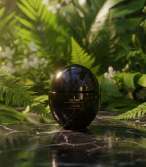 جيراردز كريم الكافيار النهاري لتأخير الشيخوخة وحماية البشرة